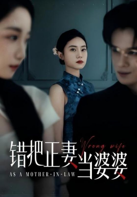 错把正妻当婆婆第21集