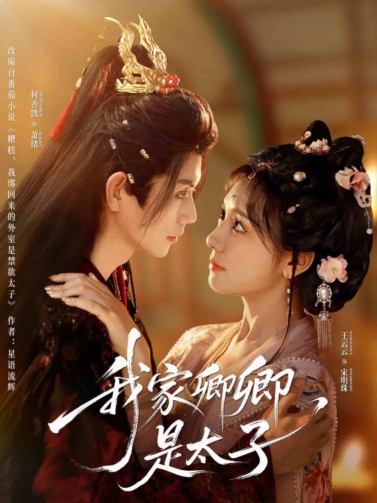 我家卿卿是太子第7集