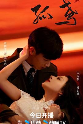孤鸢第11集