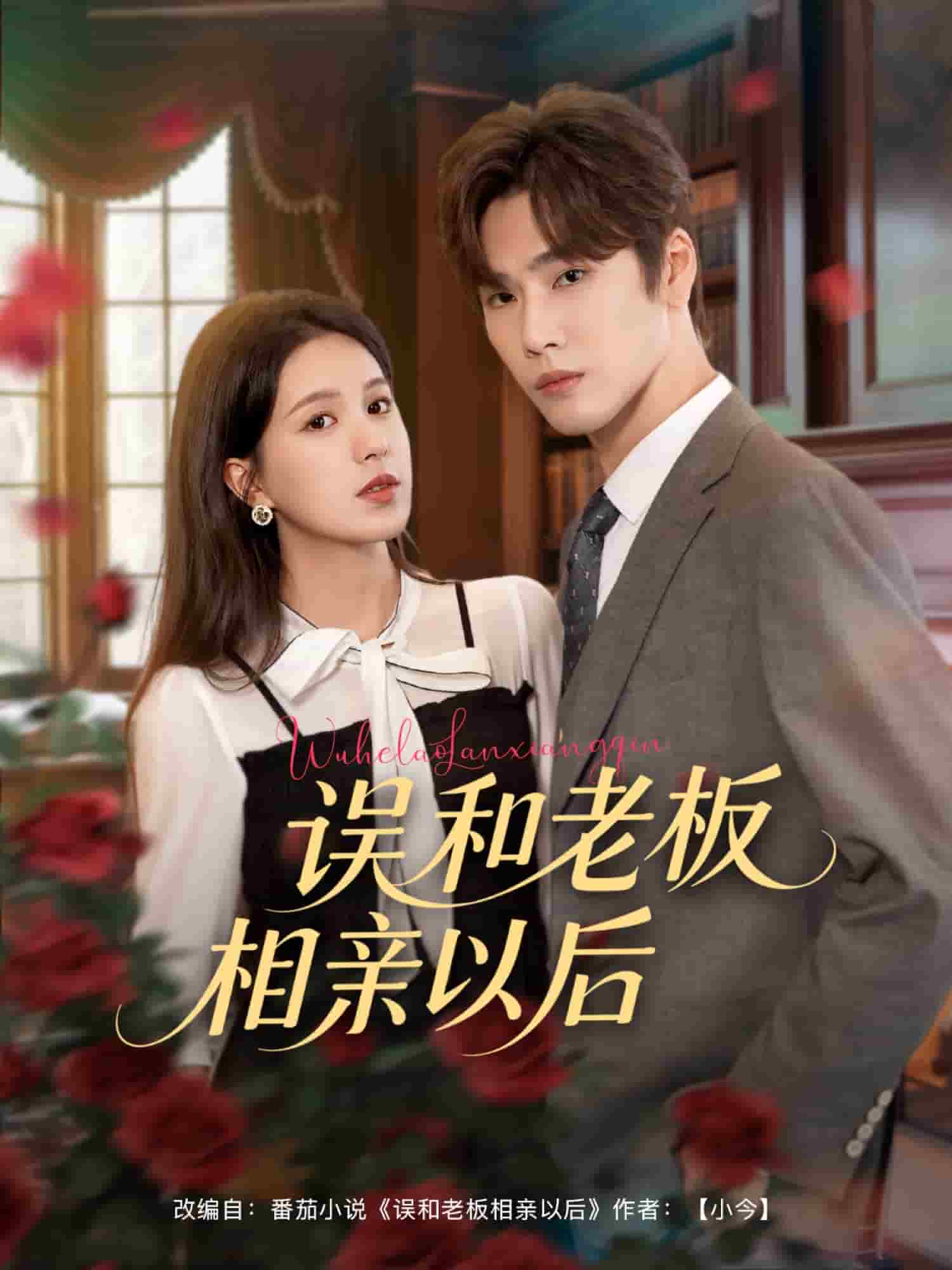 误和老板相亲以后第39集