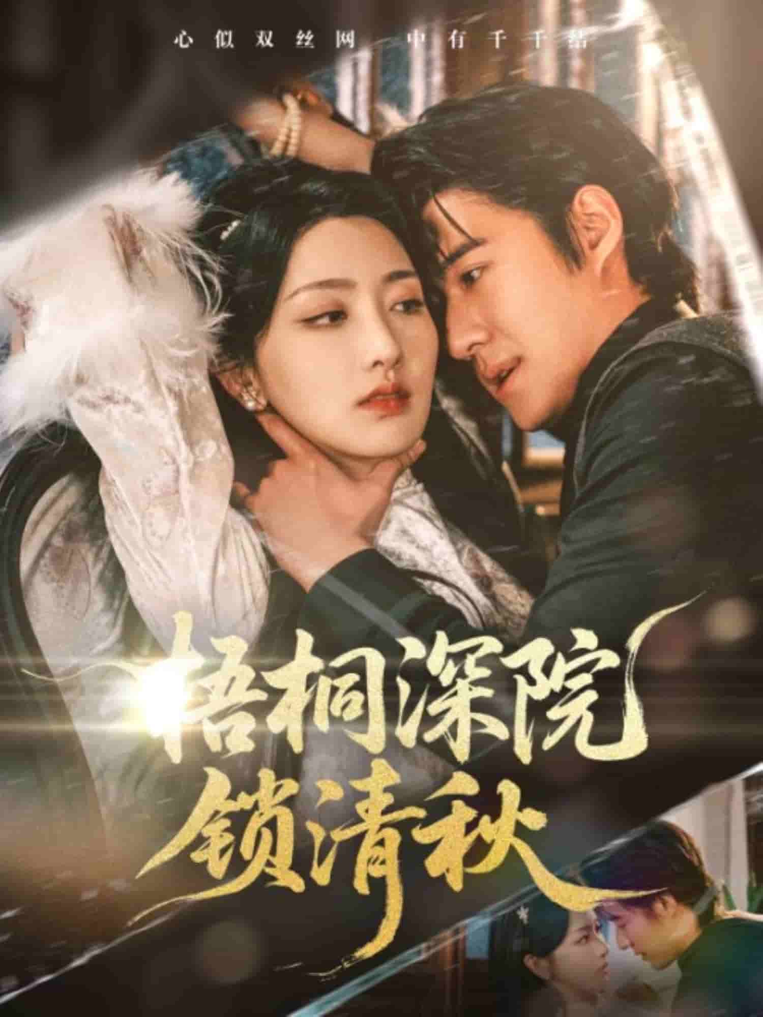 梧桐深院锁清秋第39集
