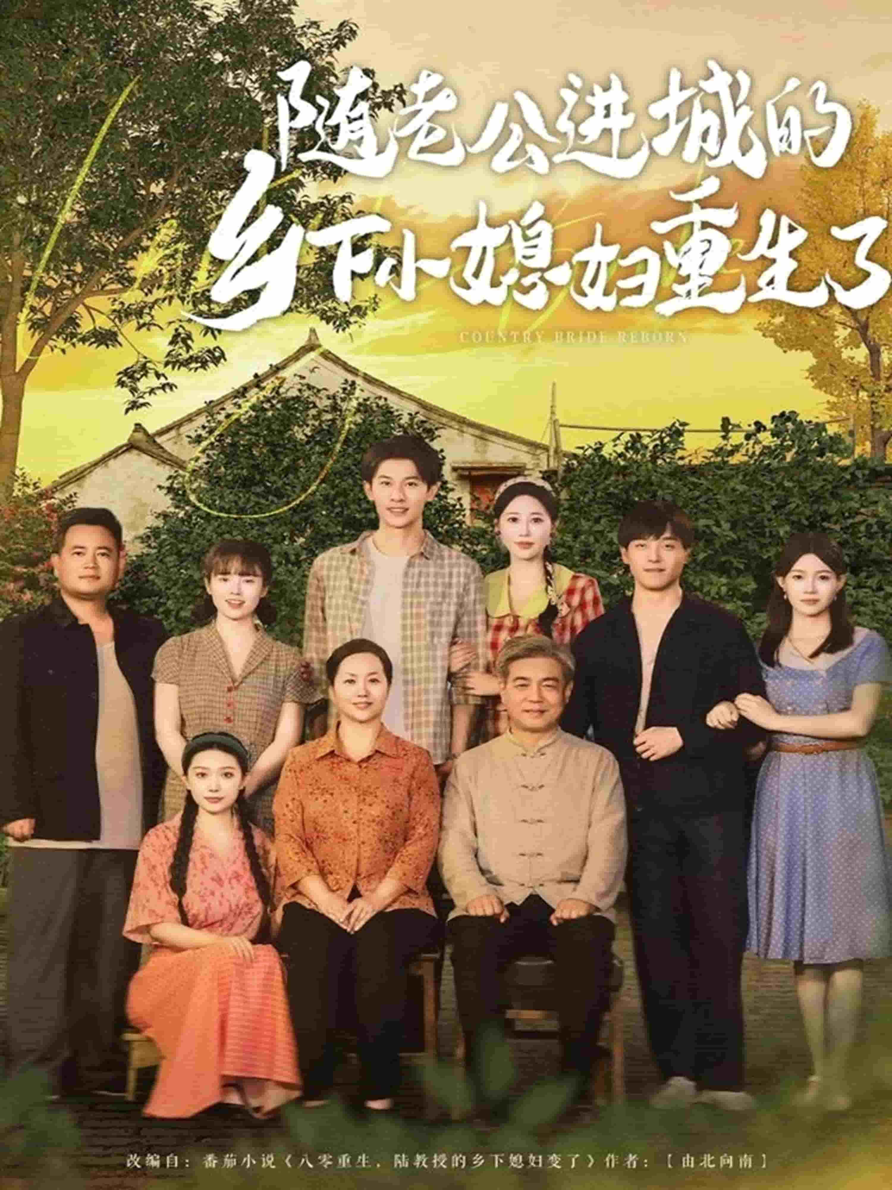 随老公进城的乡下小媳妇重生了第48集