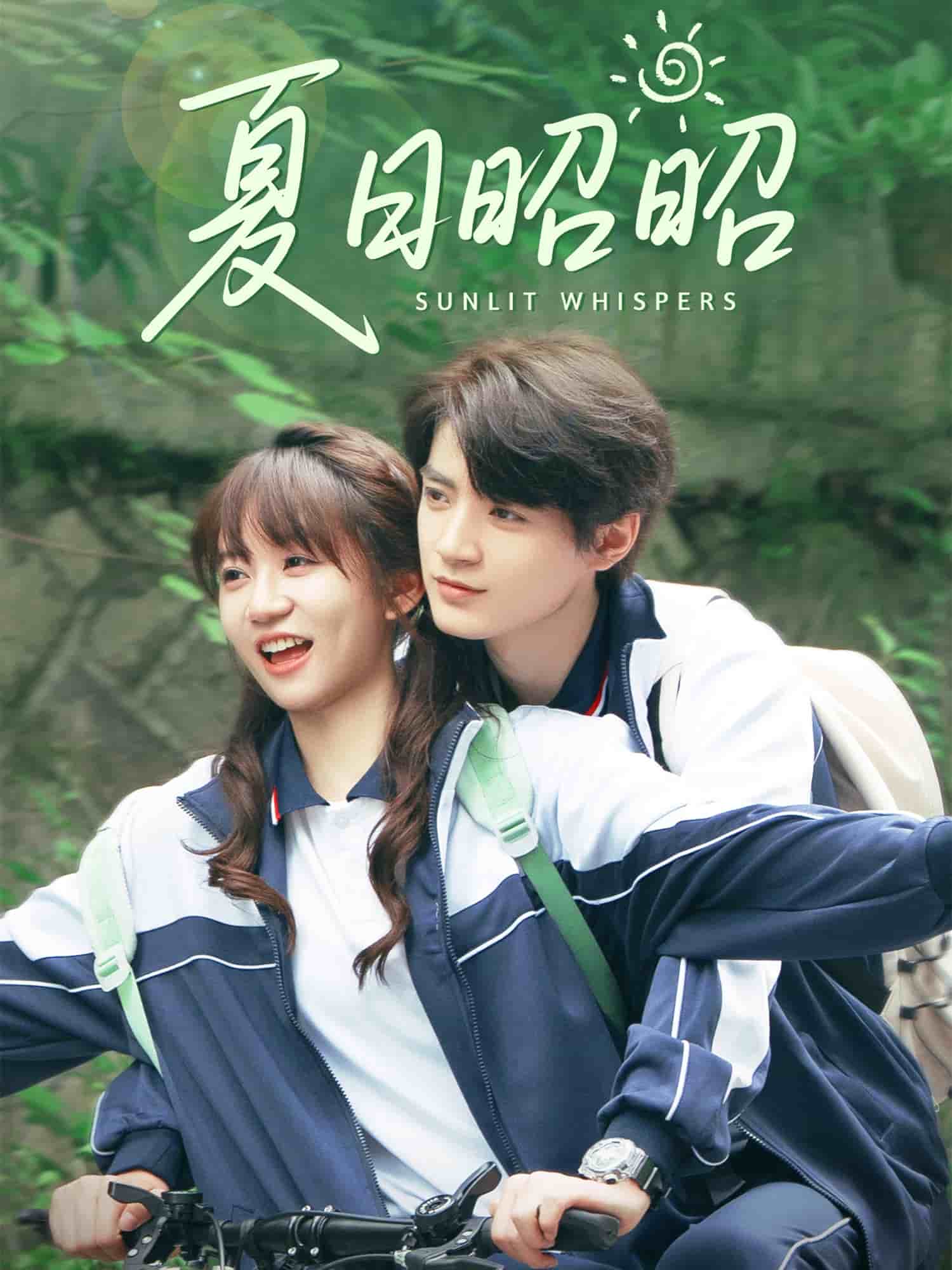 夏日昭昭第20集