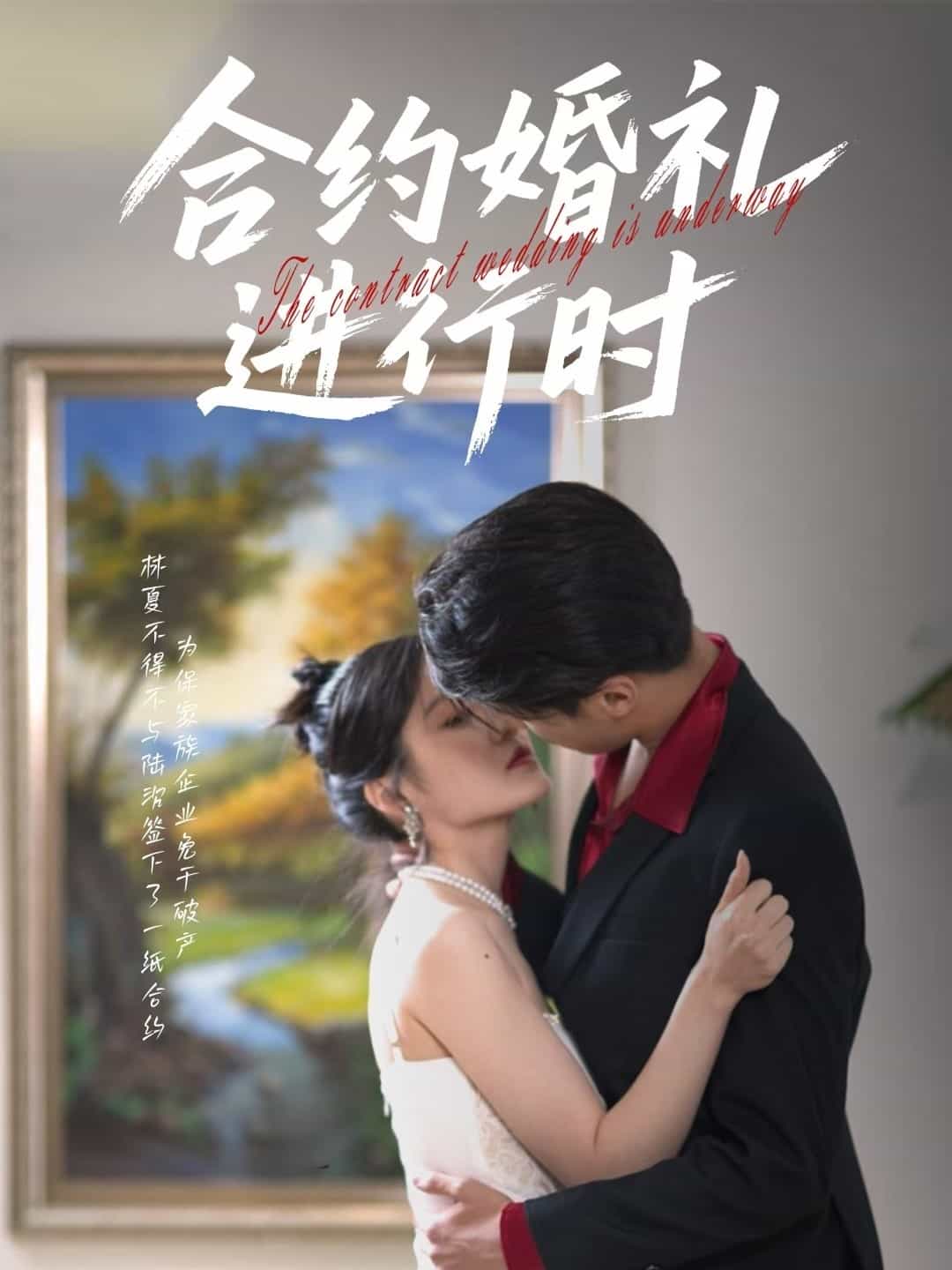 合约婚礼进行时第17集