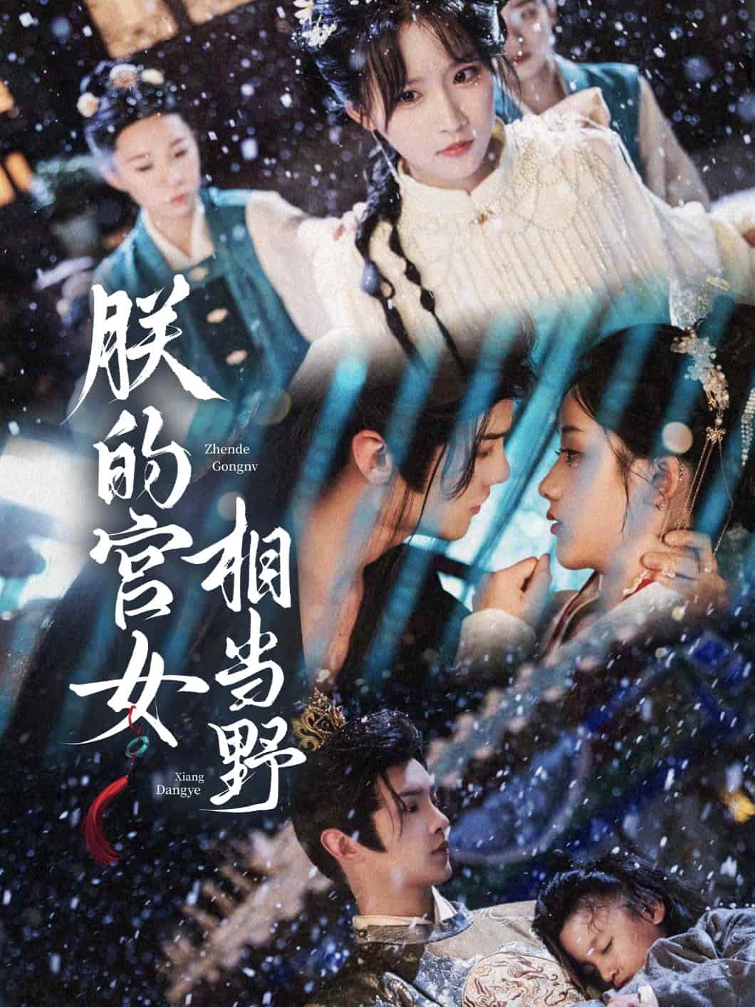 朕的宫女相当野第07集