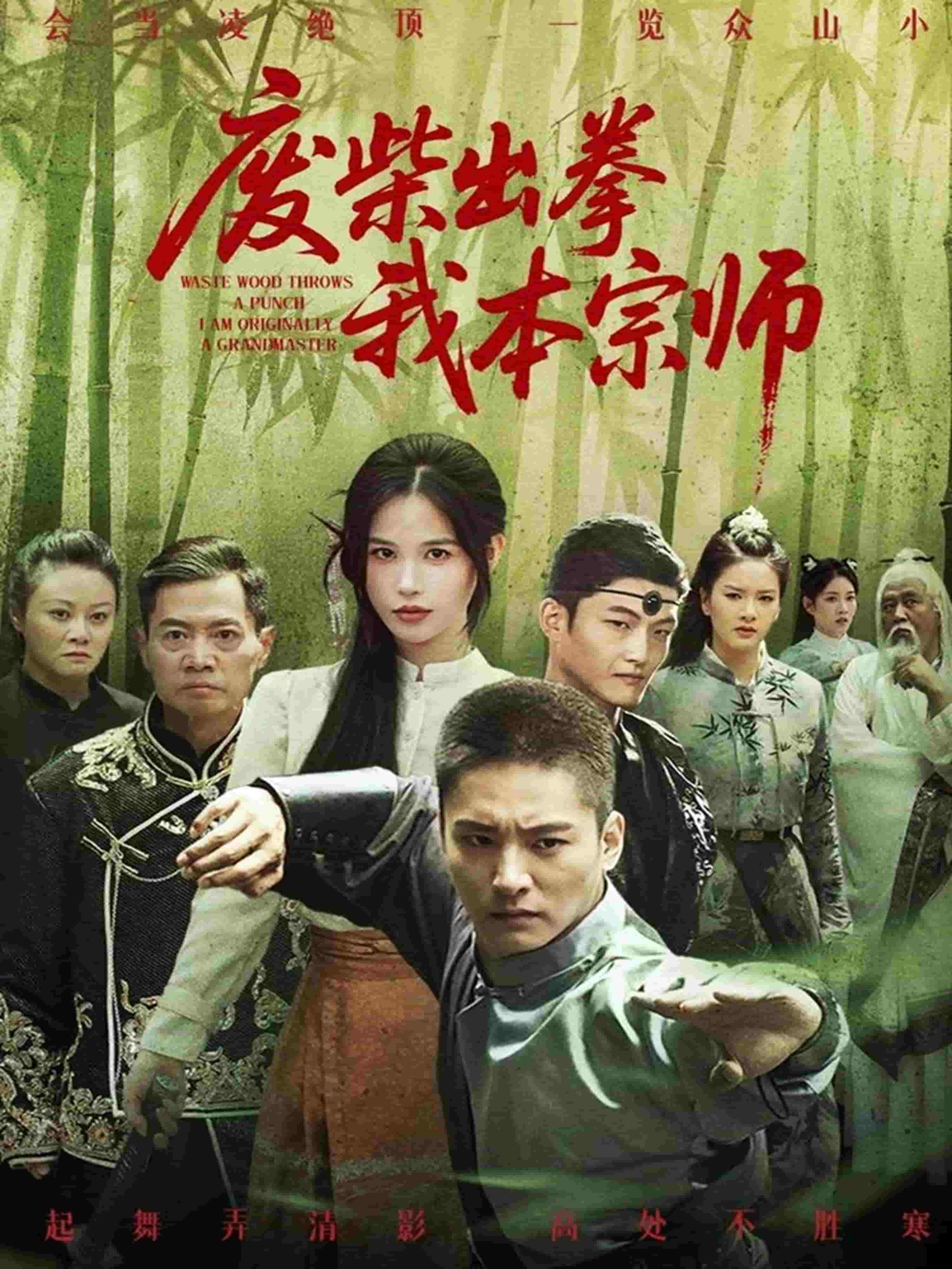 废柴出拳我本宗师第44集