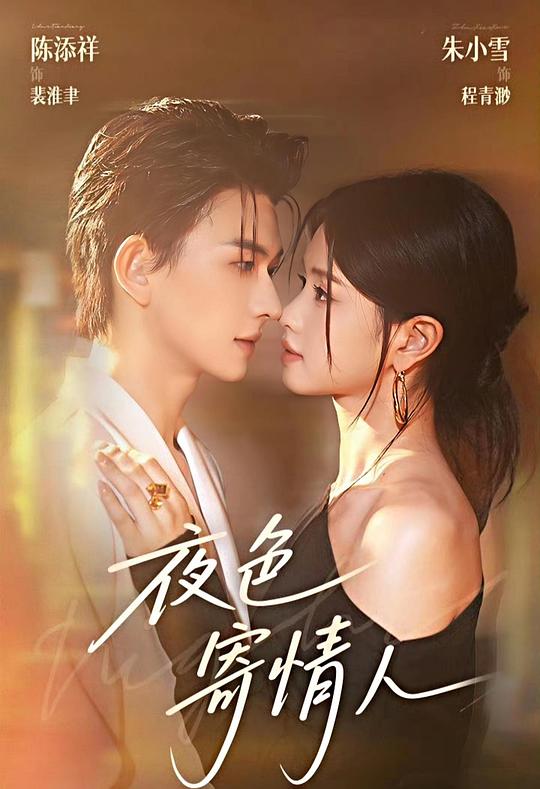 夜色寄情人第101集