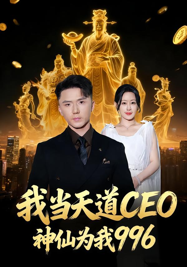 法外自证，我靠坐牢洗清冤屈第13集