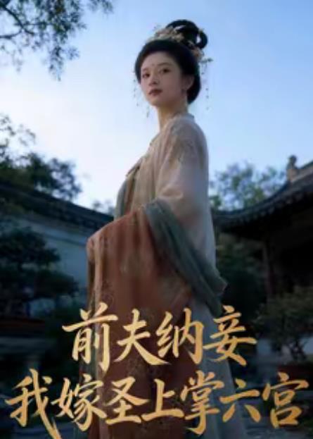 前夫纳妾，我嫁圣上掌六宫第22集