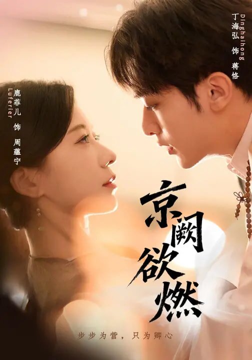 京阙欲燃第47集