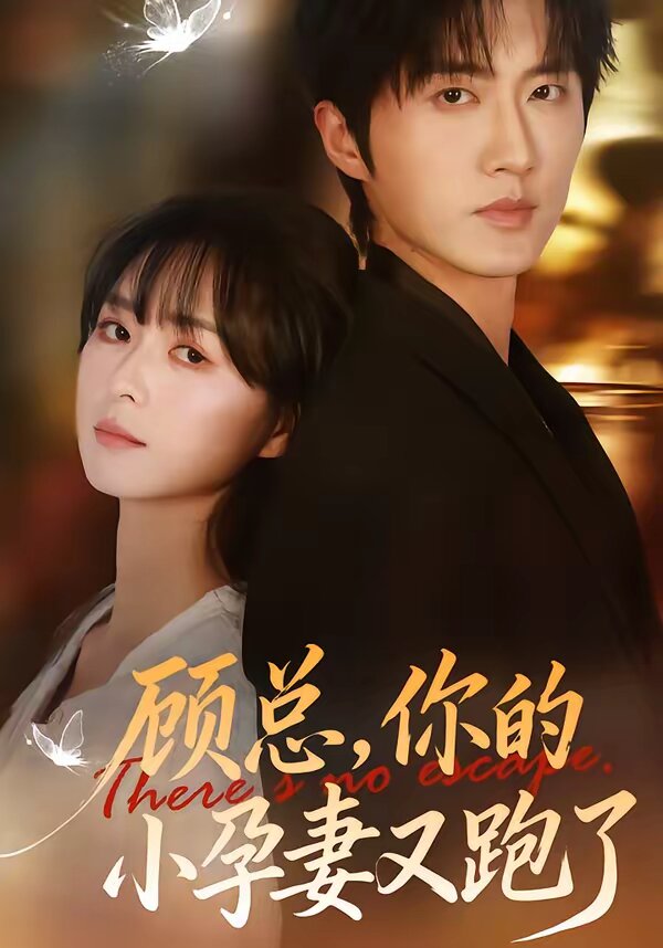 顾总，你的小孕妻又跑了第17集