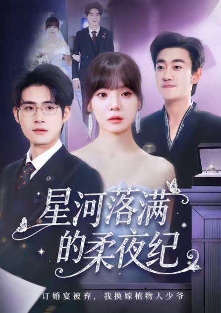 星河落满的柔夜纪第73集