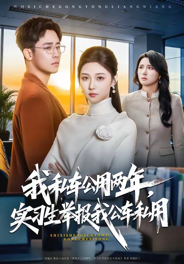 我私车公用两年，实习生举报我公车私用第39集