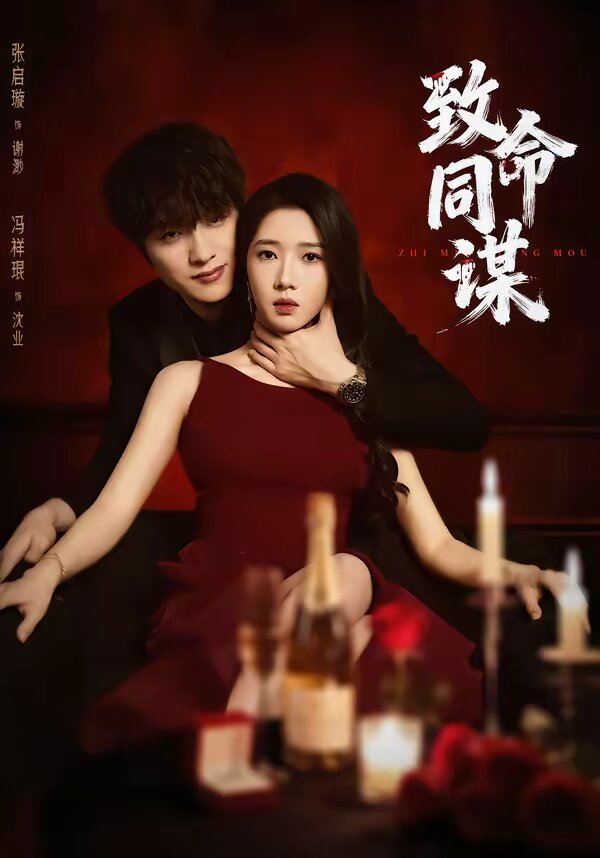 致命同谋第40集