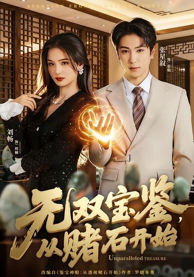 无双宝鉴，从赌石开始第36集