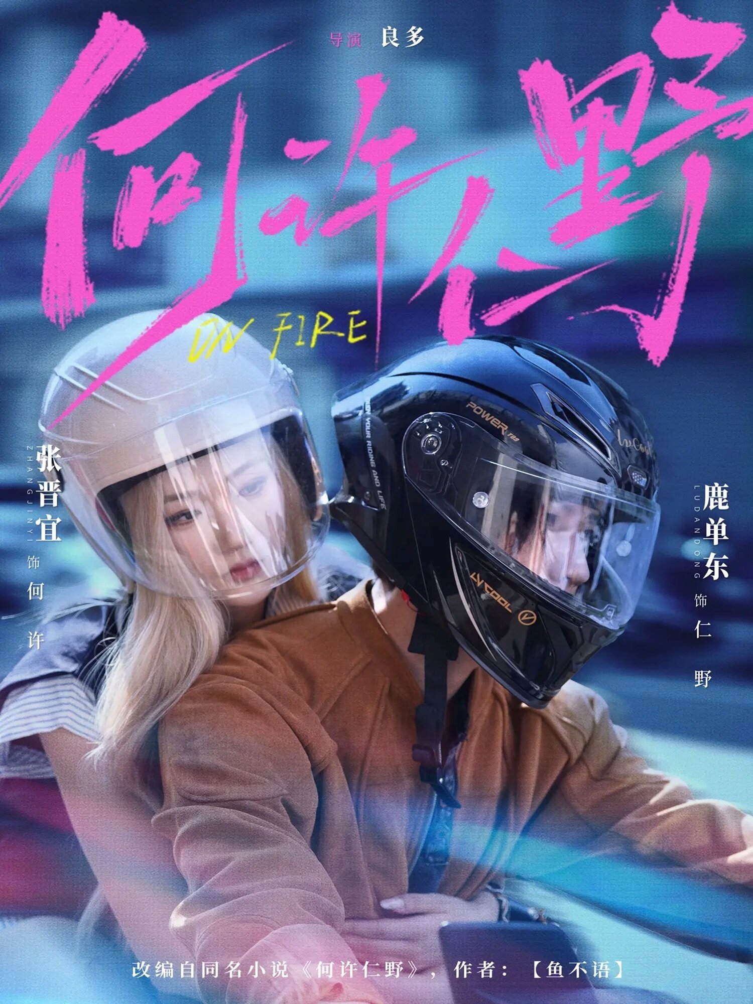 何许仁野第26集