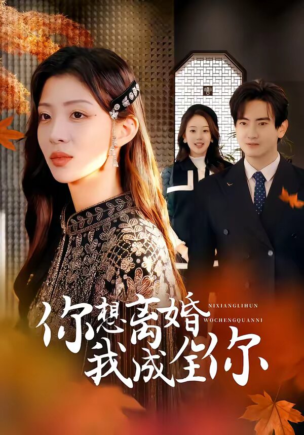 你想离婚我成全你第12集