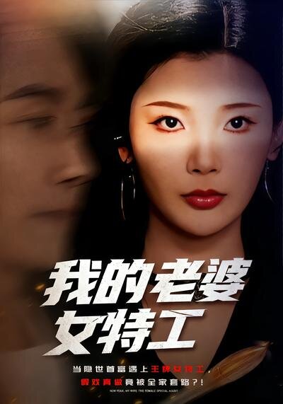 我的老婆女特工第25集