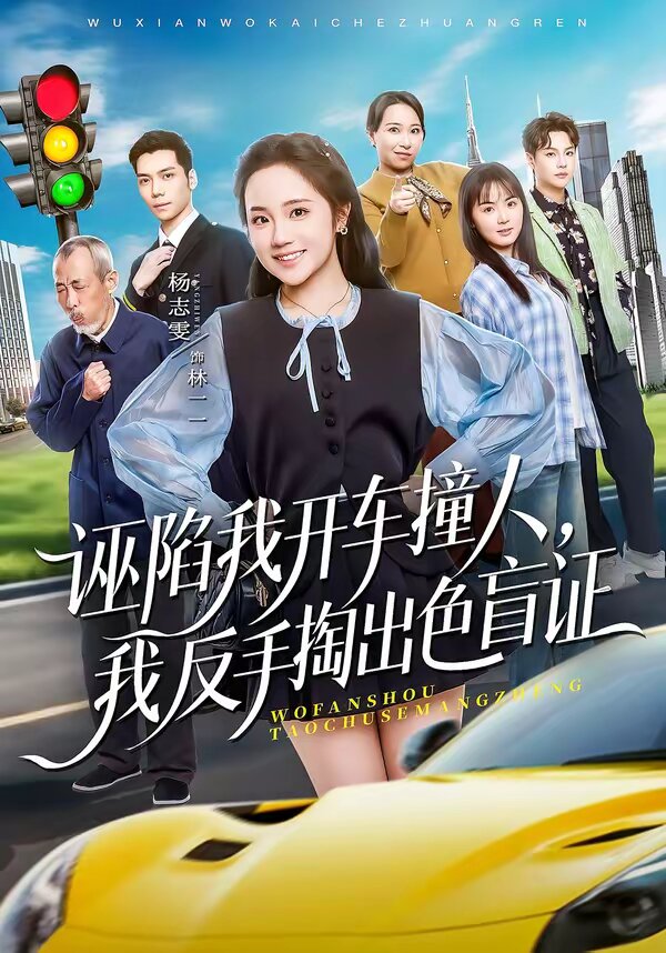 诬陷我开车撞人，我反手掏出色盲证第35集