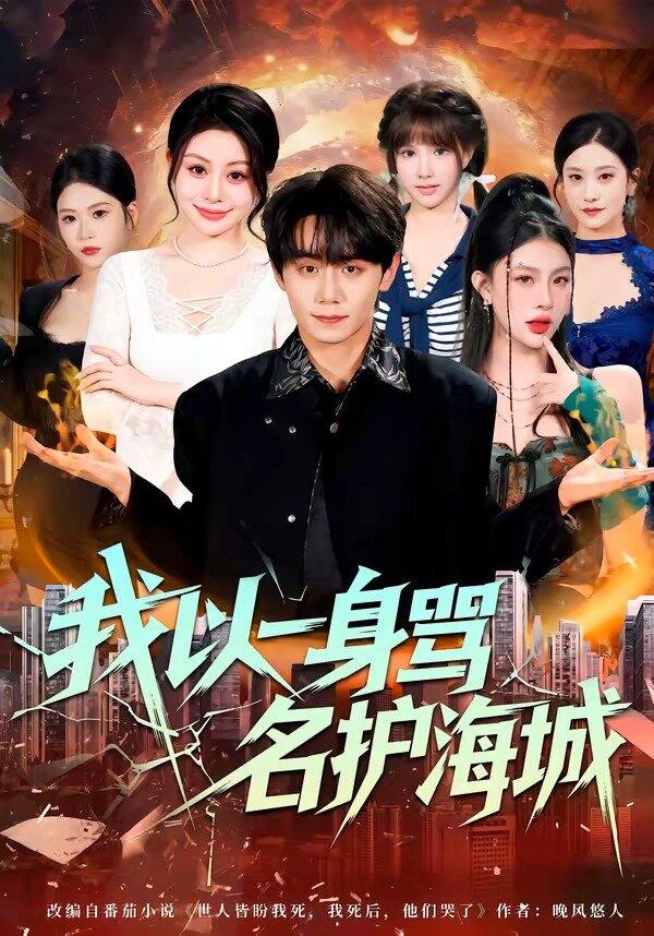 我以一身骂名护海城第28集