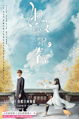 淑女飘飘拳第04集
