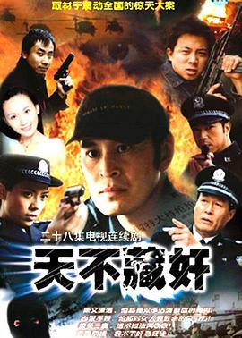 天不藏奸第12集