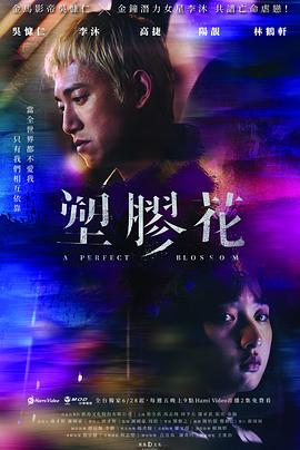 塑胶花第01集