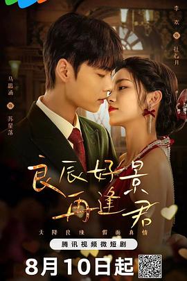 良辰好景再逢君第14集
