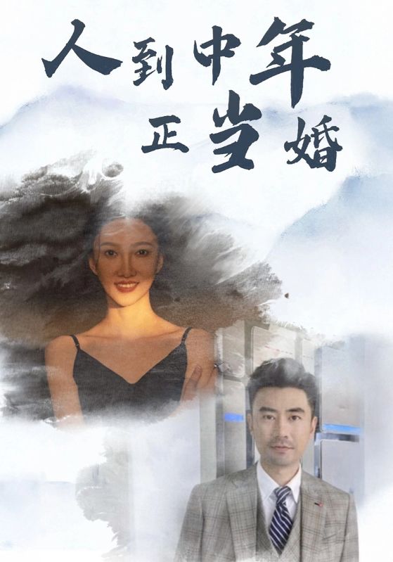 人到中年正当婚第14集