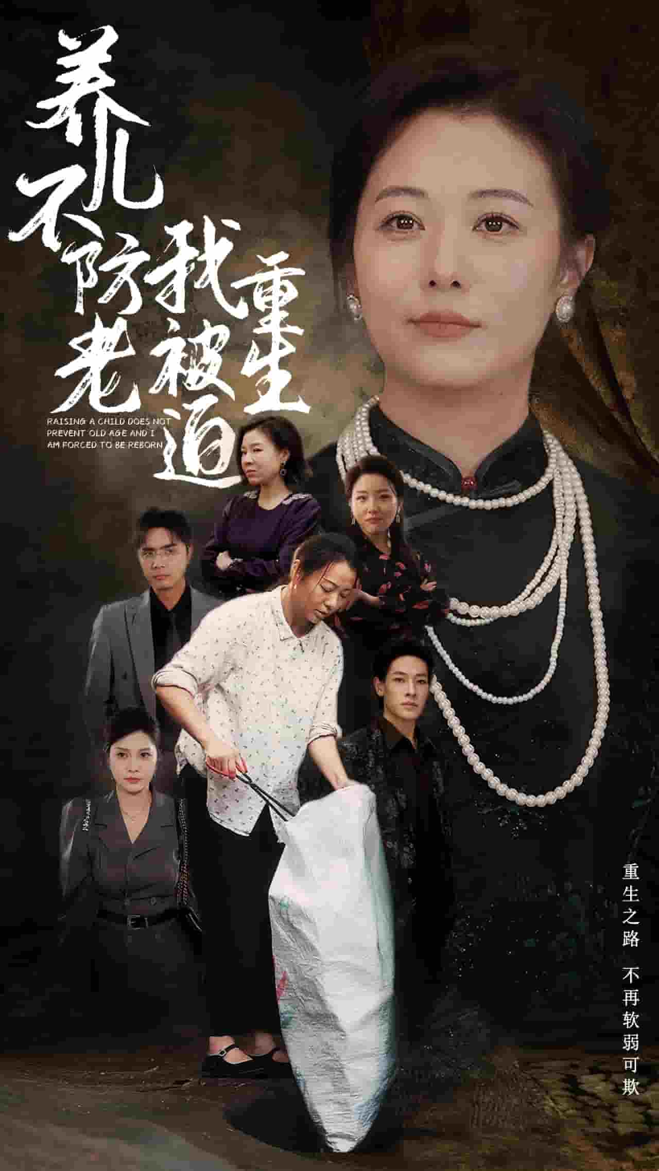 养儿不防老我被迫重生第28集
