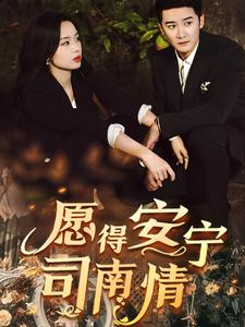 愿得安宁司南情第2集