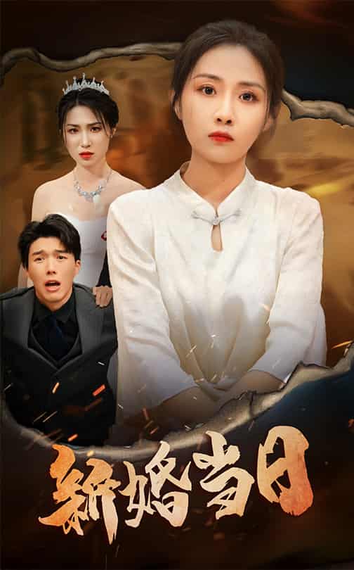 新婚当日第9集