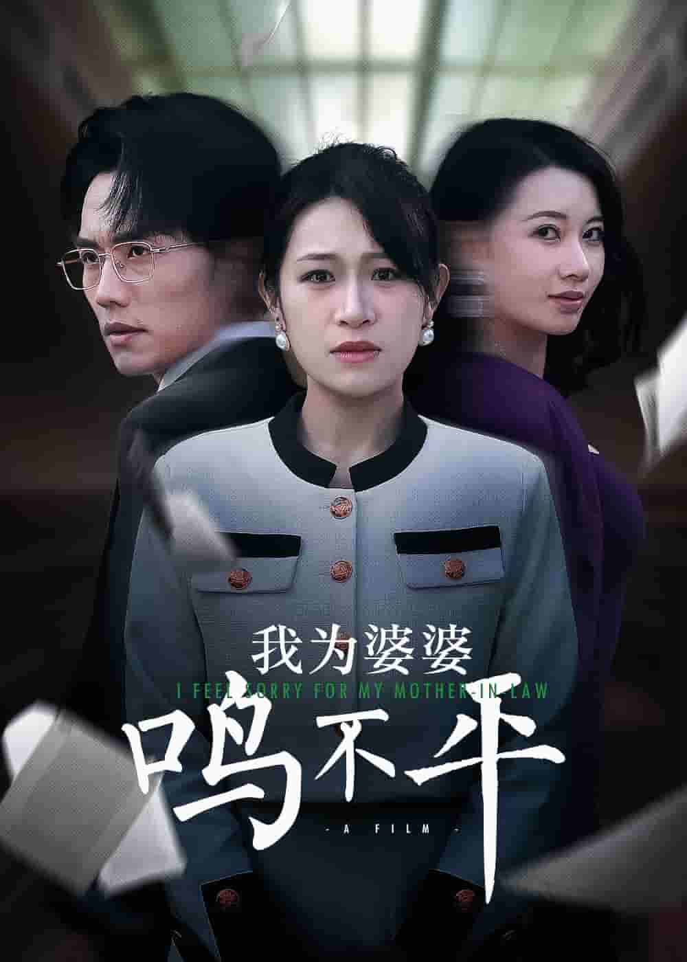 我为婆婆鸣不平第1集