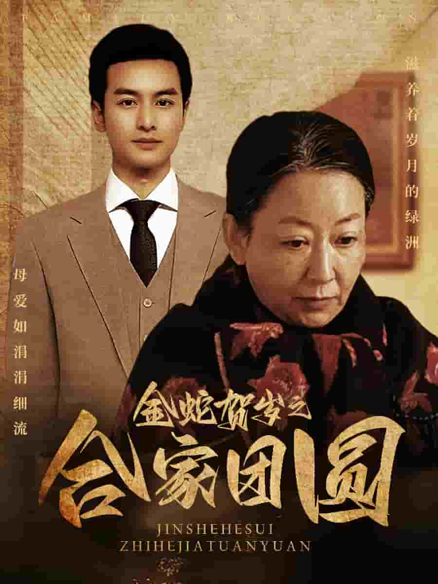 金蛇贺岁之合家团圆第6集