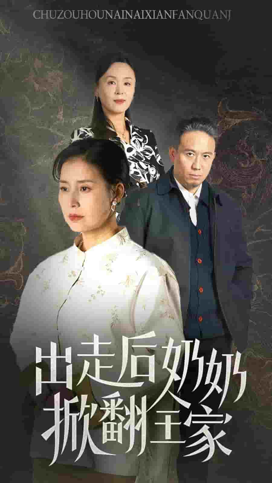 出走后奶奶掀翻全家第17集