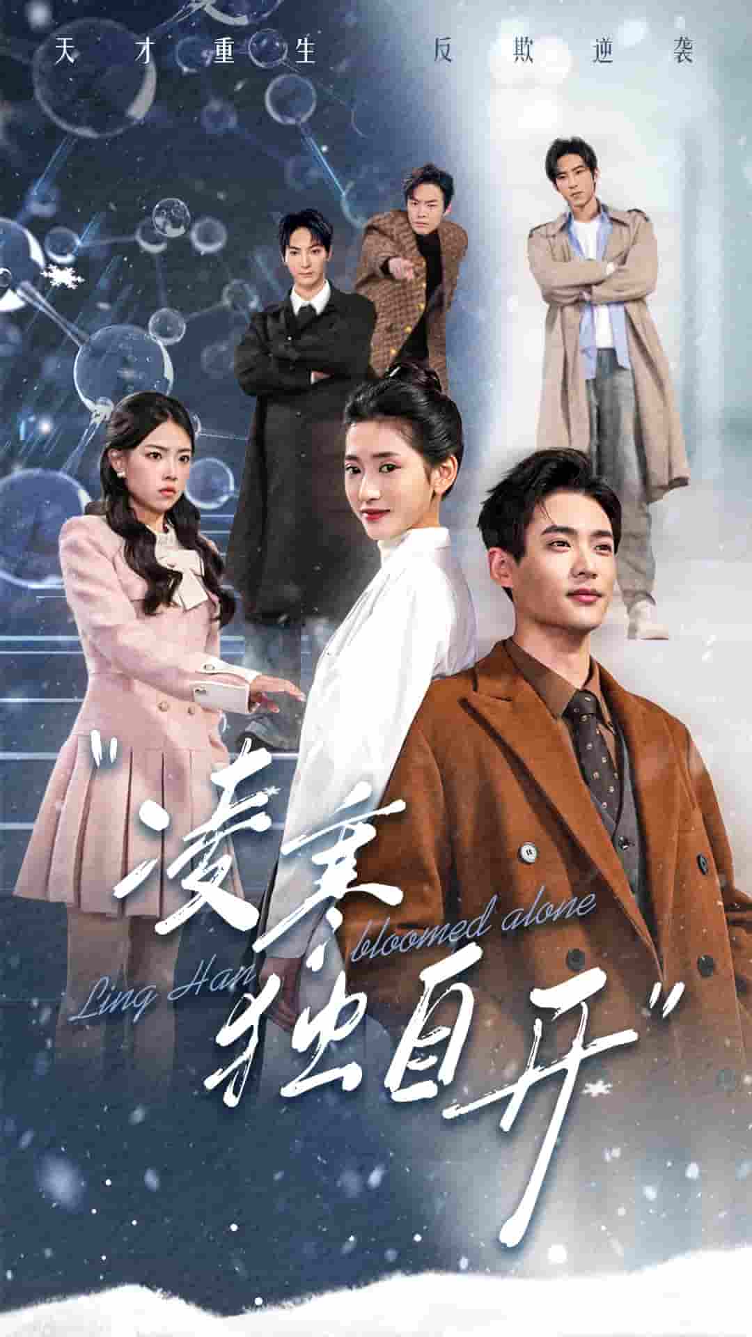 凌寒独自开第8集
