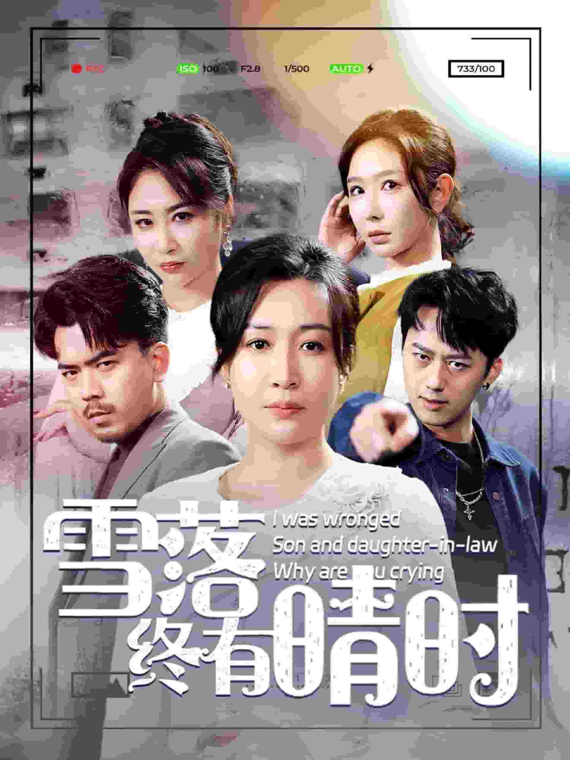 雪落终有晴时第28集
