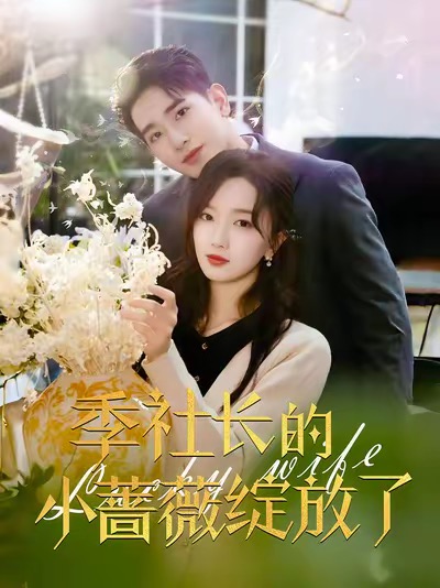 季社长的小蔷薇绽放了第1集