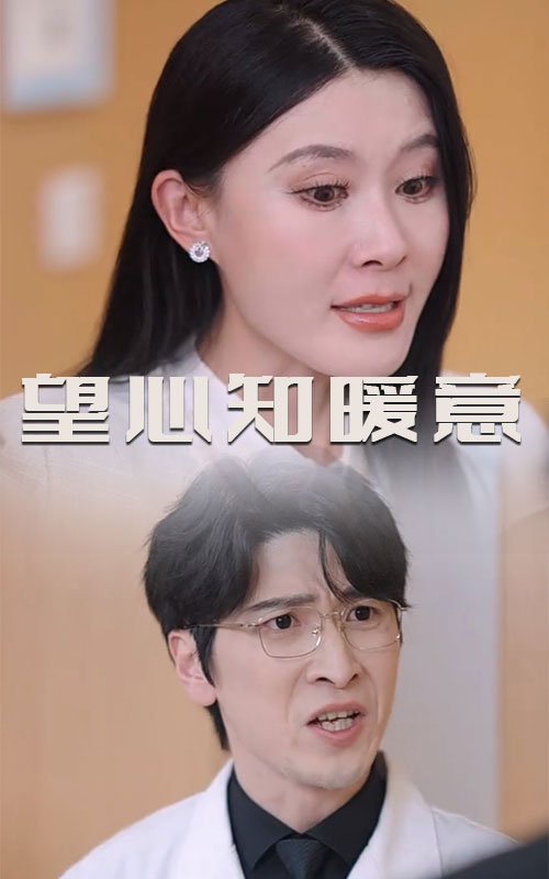 望心知暖意第29集