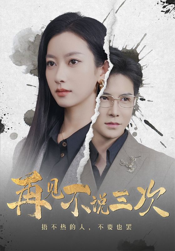 再见不说三次第16集