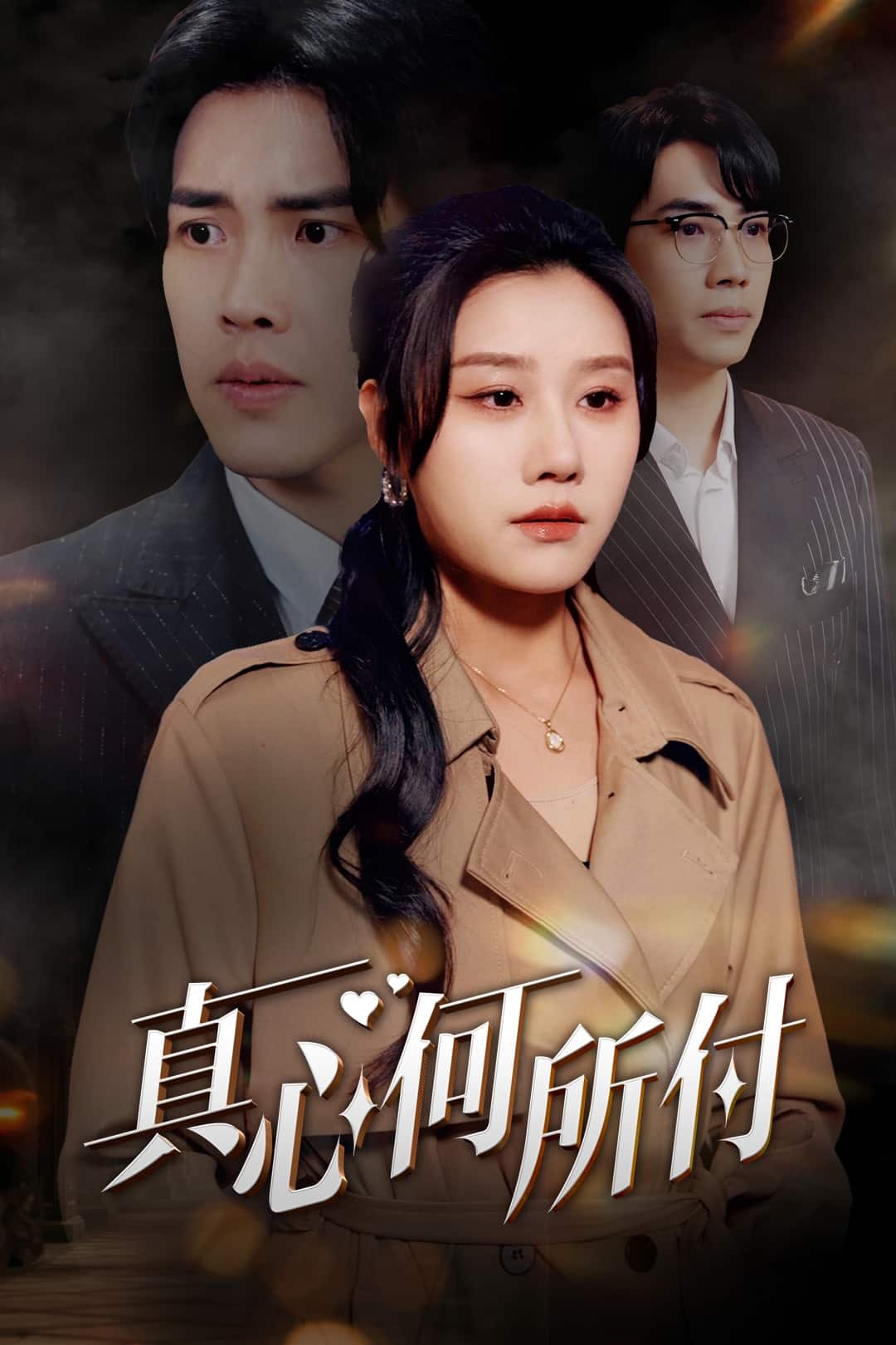 真心何所付第3集