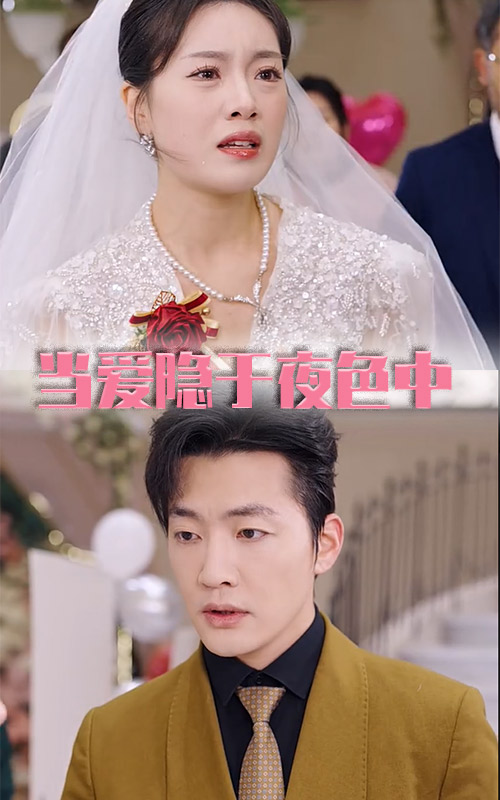 当爱隐于夜色中第4集
