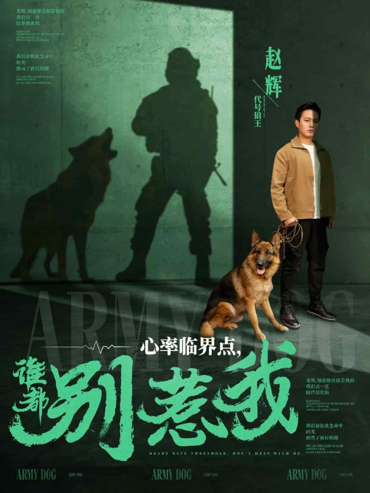 心率临界点谁都别惹我第77集