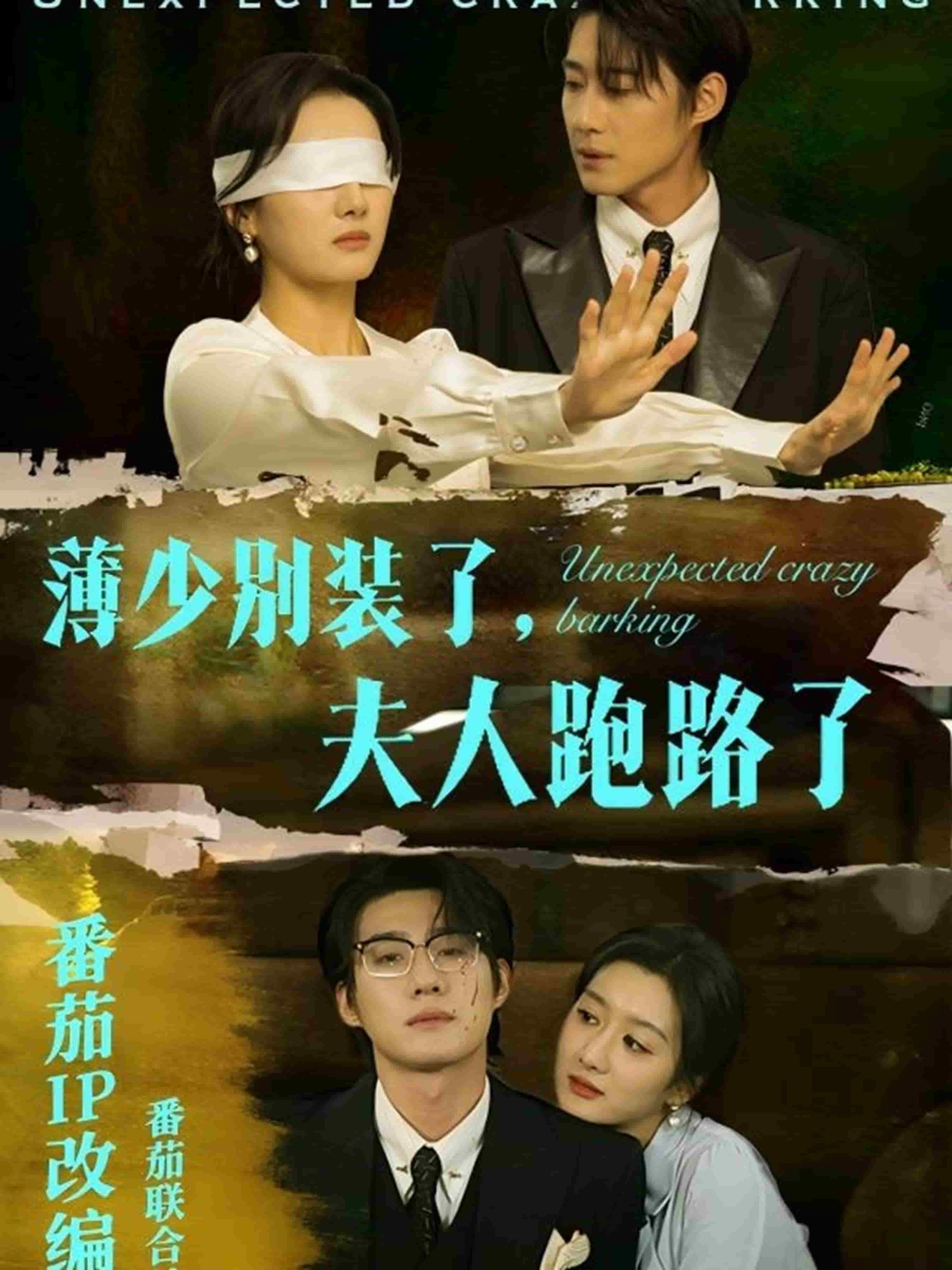 薄少别装了夫人跑路了第1集