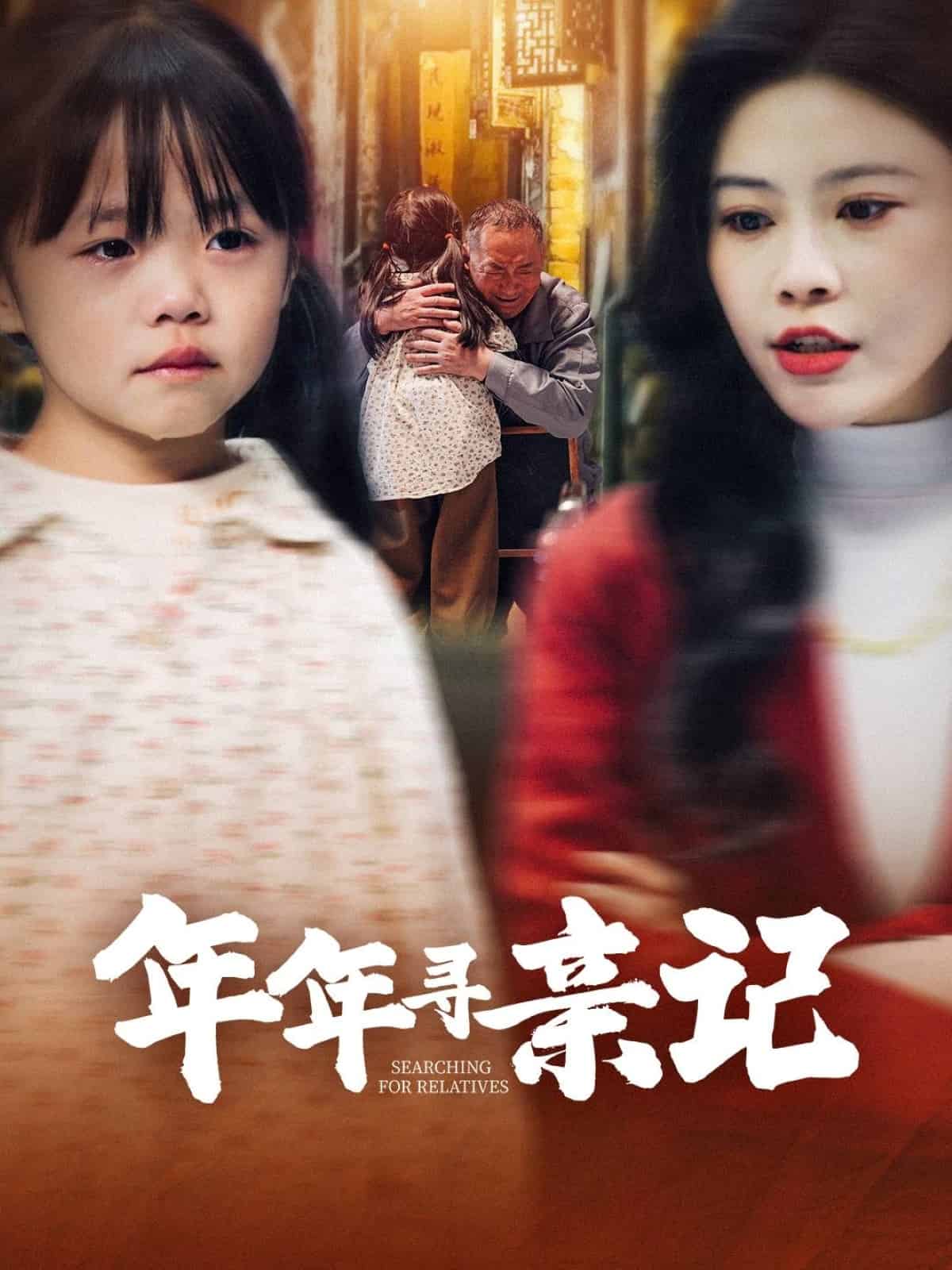 年年寻亲记第2集