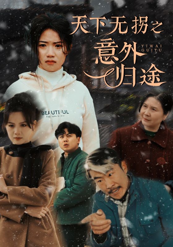 天下无拐之意外归途第1集
