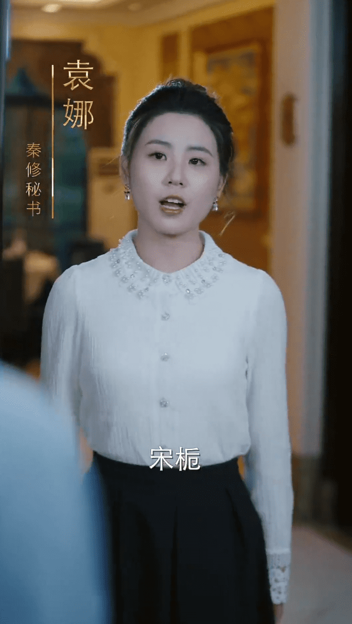 人有悲欢离合第29集