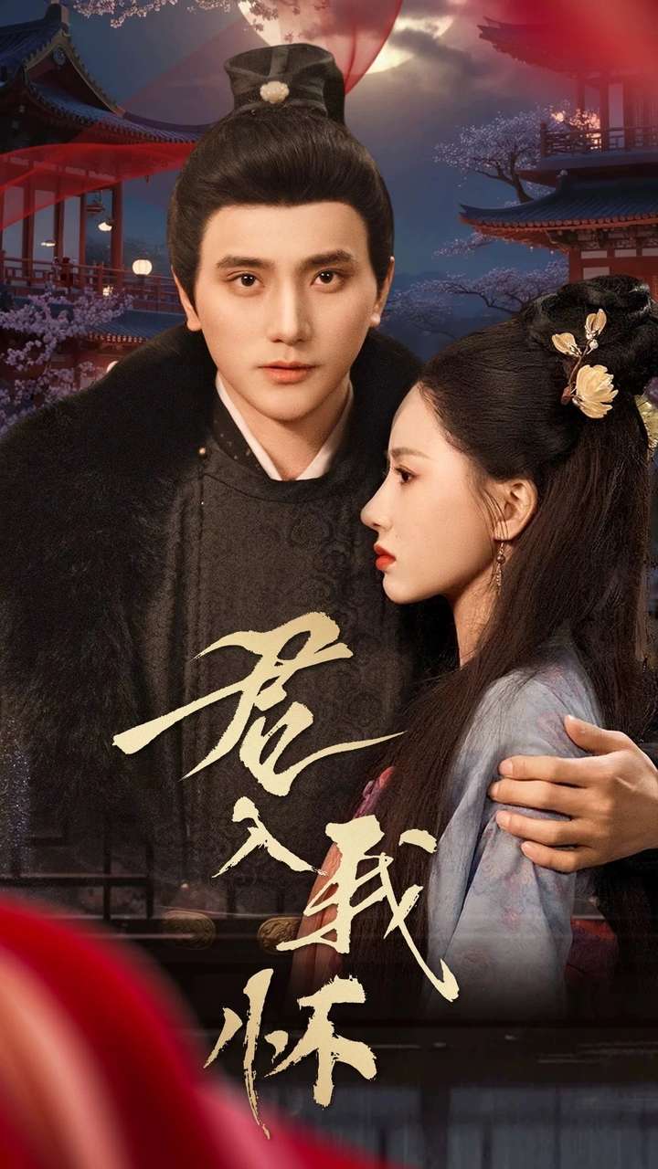 君入我怀第13集