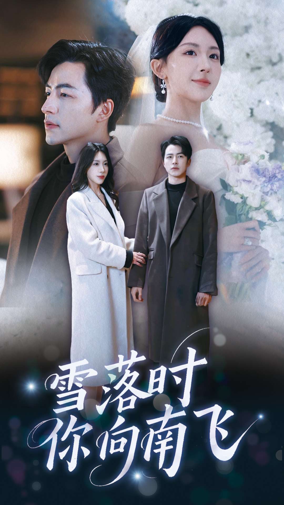 雪落时你向南飞第22集
