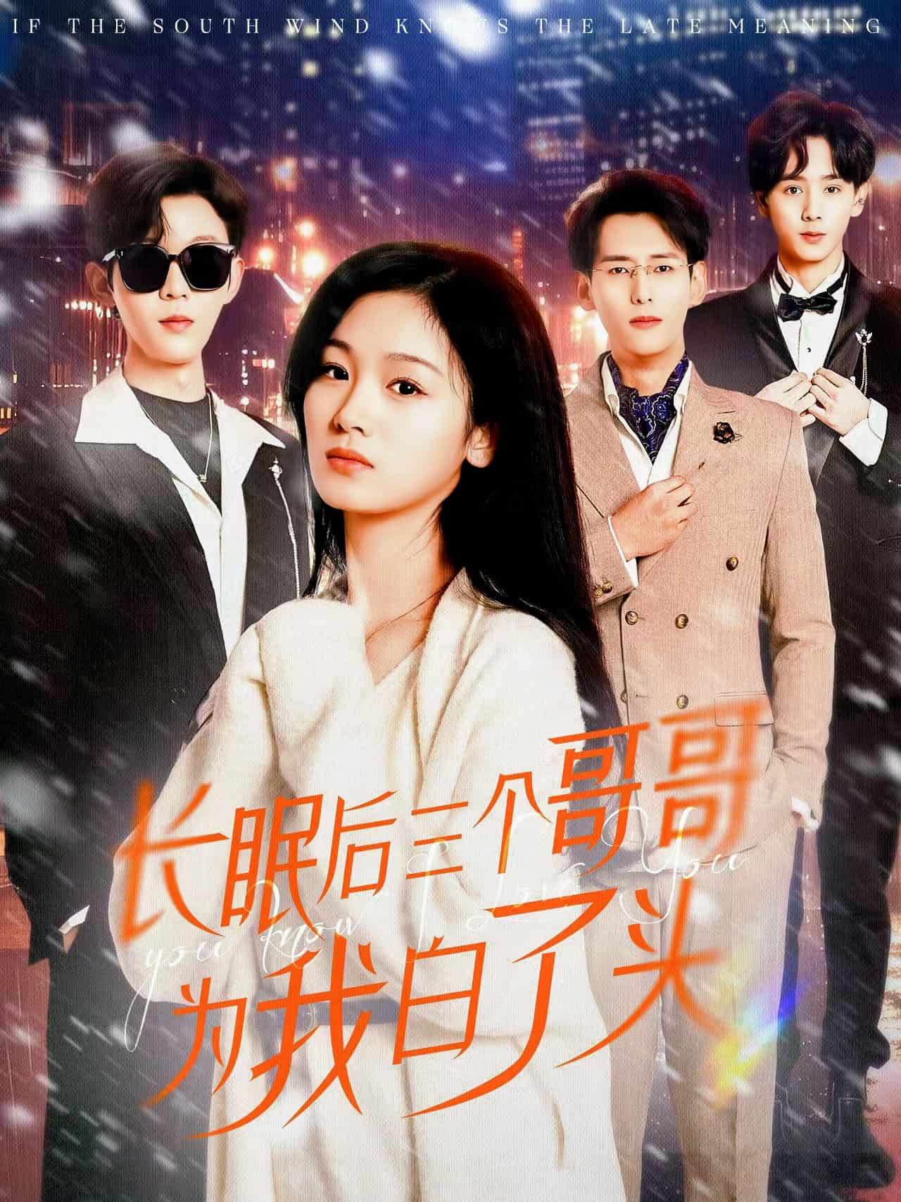 长眠后三个哥哥为我白了头第5集